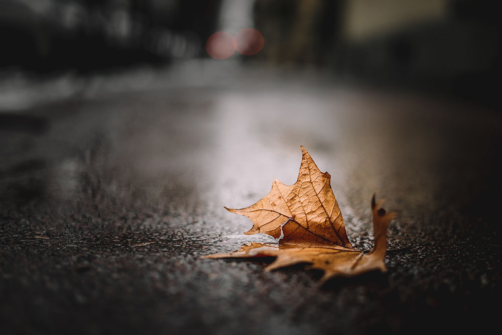Season change - fall time at the office