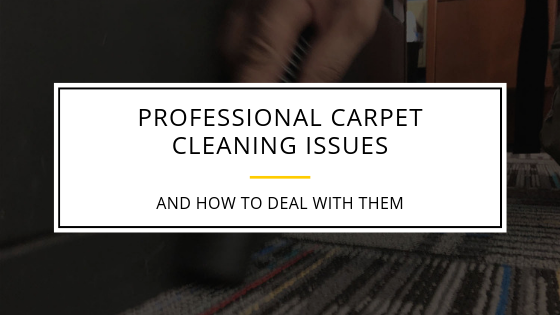Professional carpet cleaning issues and how to deal with them